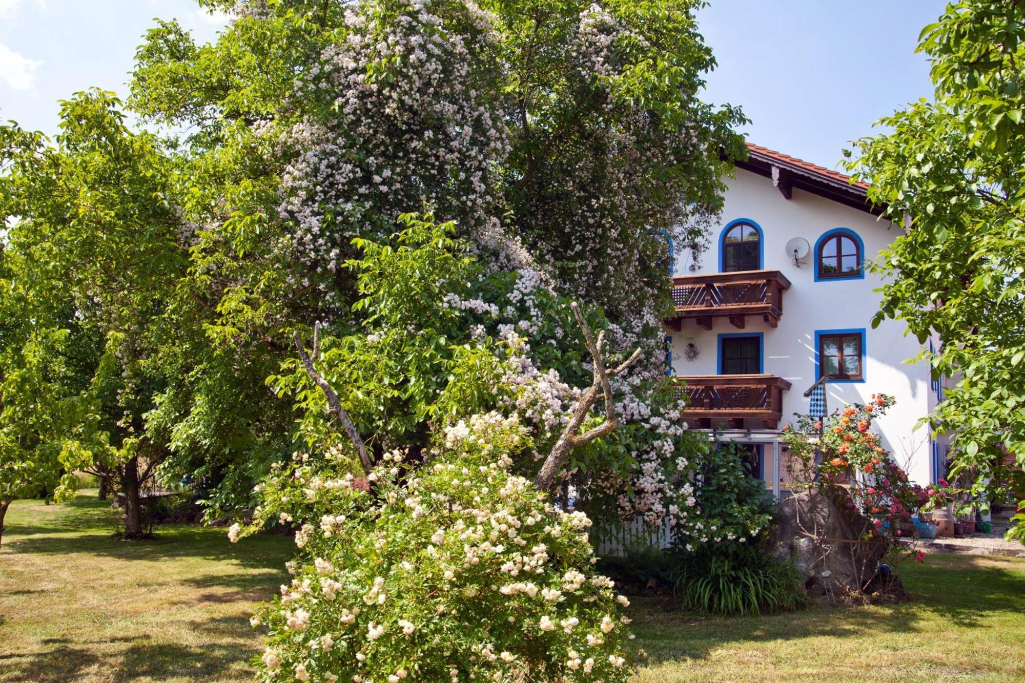 Ferienwohnung Moierhof Palling Exteriör bild