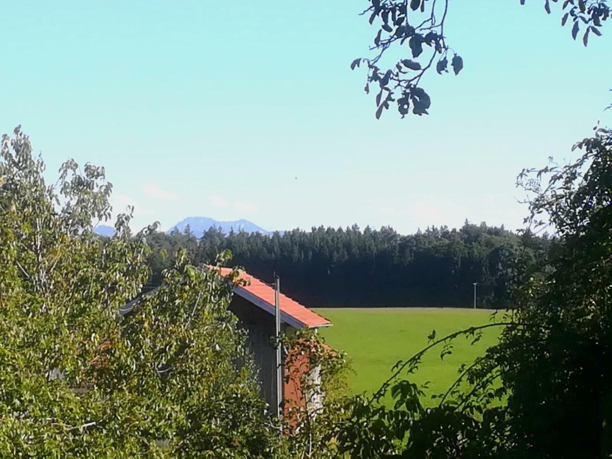 Ferienwohnung Moierhof Palling Exteriör bild